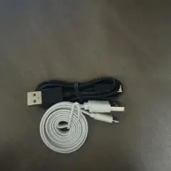 USB-A to USB-Cケーブル