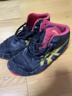 Item thumbnail for item 128c3850-f0ee-4362-85b4-560440518713