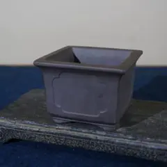 陶器 火鉢 メダカ鉢 睡蓮鉢 四角 龍文様 鉢カバー 盆栽鉢 - メルカリ