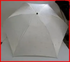 Item thumbnail for item d191c6b8-f58d-4eac-b162-820d6747d685