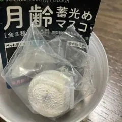 月齢蓄光めじるしマスコット　満月　全球　ガチャ
