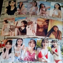 川崎桜のサムネイル