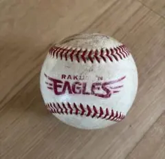 Item thumbnail for item c8bfd8cc-a0de-4ab5-aced-3cab4442114a