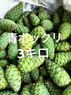 青ぽっくり ・松ぼっくり・赤松 - メルカリ