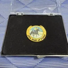 非売品 ディープインパクト 記念 ピンバッジJRA - メルカリ