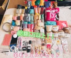 羊毛フェルト大容量セット！　猫のヒゲ　グラスアイ　ハンドメイド 手芸