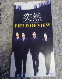 FIELD OF VIEW ポスター 4枚セット（LPサイズ） 2025年最新】FIELD OF VIEW 突然の人気アイテム - メルカリ