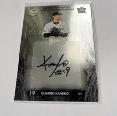 Item thumbnail for item 87dafa73-aa74-4fa4-a087-82331196adef