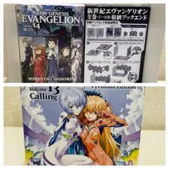 【限定版】新世紀エヴァンゲリオン 13巻・14巻 プレミアムエディション セット