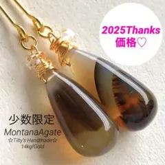 天然石③♡大粒モンタナアゲート1粒ハーキマーアクセントのピアス14kgf
