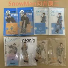 SnowMan向井康二アクスタ8点セット