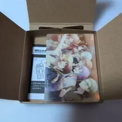 プロジェクトセカイ ノーブルアート67 神代類