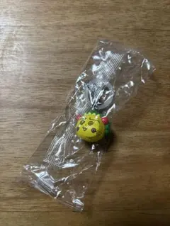 COJI-COJI めじるしアクセサリー3