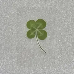 Item thumbnail for item dd3877f4-c3b4-451b-8b23-40a0e5072871