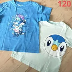 子供服　ポケモン　Tシャツ　半袖　ポッチャマ　　ギャラドス　スイクン　カメックス