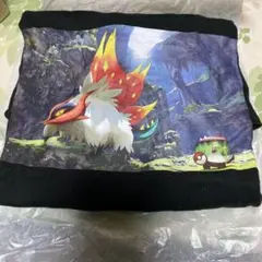 ポケモン Tシャツ