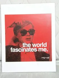 アンディ・ウォーホール「The World Fascinates Me」ポスターのサムネイル