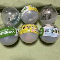 新品旭川動物園　ASAHIYAMA Capsule Zoo カプセルトイ 全6種
