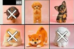 オーダー受付 お出かけわんこ 6犬種 ご予約ページ 1/20 - メルカリ