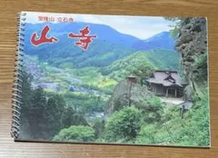 Item thumbnail for item 501b4a39-3eab-488b-8ce1-c87af8fcf0f1