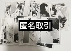 ハイキュー!! クロニクル 思い出スナップフォトカード 烏野高校 30枚セット