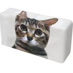 猫の顔 ティッシュボックスカバー