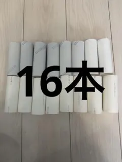 空き芯 工作素材 トイレットペーパーの芯 16本セット 白