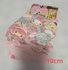新品　サンリオキャラクターズプレミアムきゃらふるインナー　女児ショーツ110cm