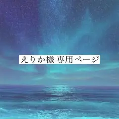 ⟡ えりか様 専用ページ お取り置き ⟡