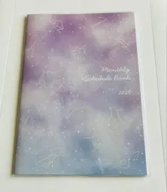 Item thumbnail for item 81ce7d16-68a8-43b1-847d-e789552bb07d