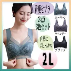 胸を小さく見せるブラ シームレス ノンワイヤー 2L 着痩せブラ 体型カバー