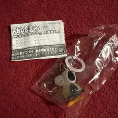 PEANUTS めじるしアクセサリー FUNNY ver. スヌーピーD