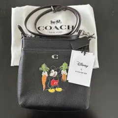 最終値下げ‼️COACH✖️Disney レザー　ボディバッグ cl960_b4km_a0