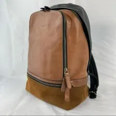 COACH 限定色　レザー　バックパックのサムネイル