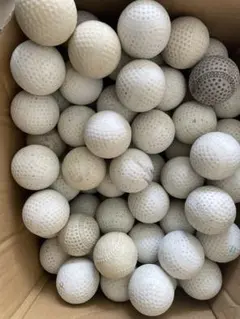 Item thumbnail for item 7240a9f5-f577-4134-ad11-8a684dd625fc