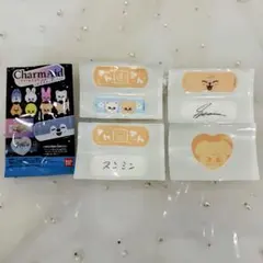 Stray Kids チャームエイド 絆創膏 スンミン パピーム　PuppyM