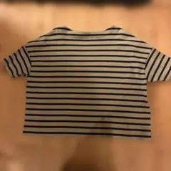 Item thumbnail for item c45ae8e5-e5e4-46b9-8939-2119c99bd793