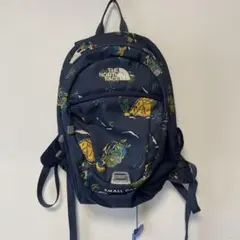 THE NORTH FACE SMALL DAY リュック