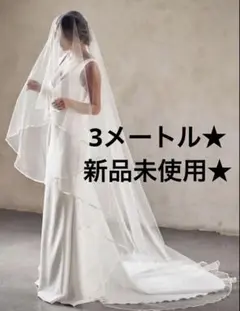 Item thumbnail for item deb29cf3-1361-42b2-8322-df84a10d2ad6