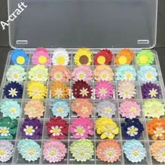 クラフトパンチ ケース付き ペーパークラフト 工作 制作 アルバム 保育 629