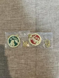 ポケモン 一番くじ　30th J賞　メタルチャーム ヒトカゲ　チコリータのサムネイル