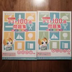チャレンジ6年生 テスト100点問題集　２冊セット