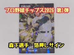 しーちゃん様 リクエスト 2点 まとめ商品