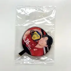 バレーボール 男子日本代表 水町泰杜 うちわアクリルチャーム ガチャガチャ