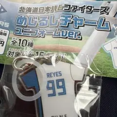 北海道日本ハムファイターズ めじるしチャーム レイエス