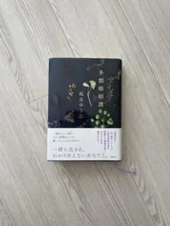 多類婚姻譚