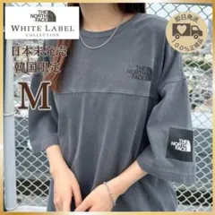 【韓国限定】 THE NORTH FACE ロゴ ステッチ Tシャツ グレー M