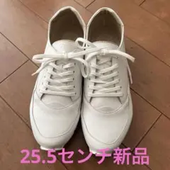 EMA レザースニーカー　40（25.5センチ）　新品