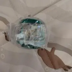 未使用匿名配送 バースカプセム GPライダーカプセム03 仮面ライダーゼッツ