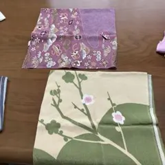 Item thumbnail for item 2e20f4a5-93d7-4b36-81a7-b881c6261b6e